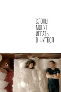  Слоны могут играть в футбол  1 сезон