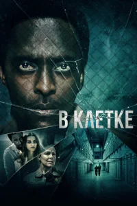  В клетке  1 сезон