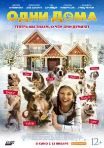  Одни дома  1 сезон