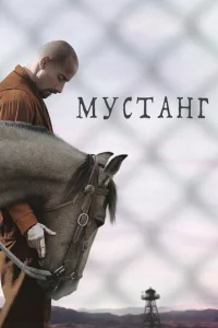  Мустанг  1 сезон