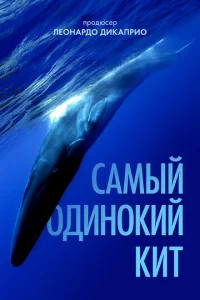  Самый одинокий кит на планете: в поисках Пятидесятидвухгерцового кита  1 сезон
