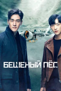  Бешеный пёс  1 сезон
