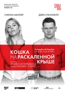  Кошка на раскалённой крыше  1 сезон