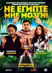  Не египте мне мозги!  1 сезон