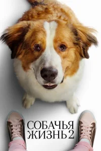 Постер к сериалу  Собачья жизнь 2  1-2 сезон