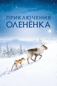  Приключения оленёнка  1 сезон
