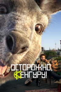 Осторожно, Кенгуру!  1 сезон