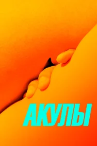  Акулы  1 сезон