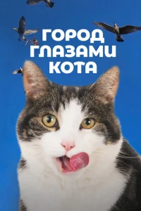  Город глазами кота  1 сезон