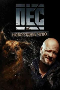  Новогодний пёс  1 сезон