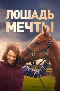  Лошадь мечты  1 сезон