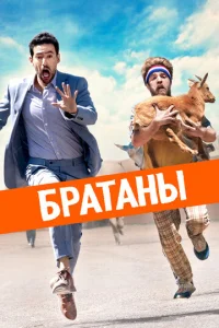  Сводные братья  1 сезон