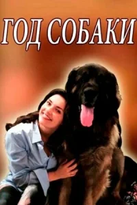  Год собаки  1 сезон