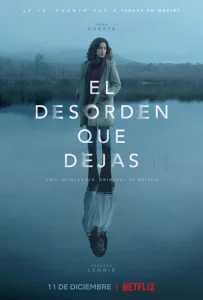 Постер к сериалу  Беспорядок после тебя  1-2 сезон
