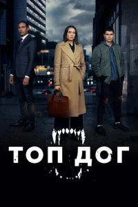 Постер к сериалу  Топ дог  1-2 сезон