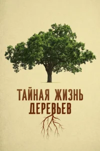  Деревья: гении мира природы  1 сезон