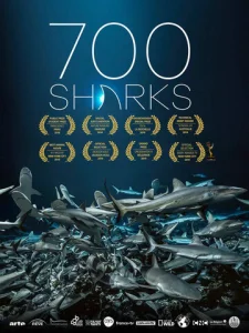  700 акул  1 сезон