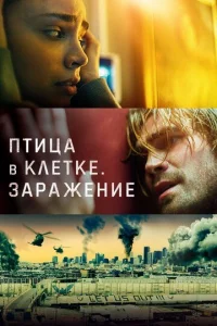  Птица в клетке. Заражение  1 сезон