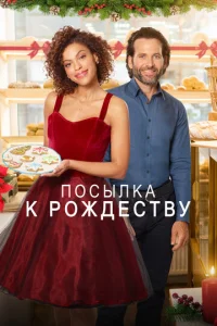  Доставить к Рождеству  1 сезон
