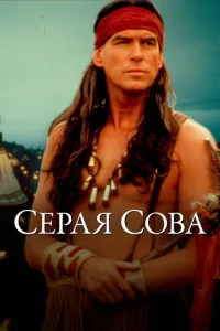  Серая сова  1 сезон