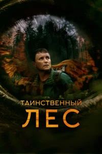  Таинственный лес  1 сезон