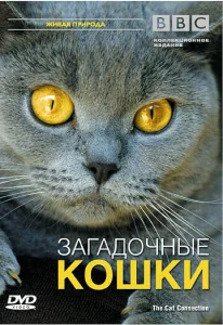  BBC: Загадочные кошки  1 сезон