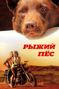 Постер к сериалу  Рыжий пес  1-2 сезон
