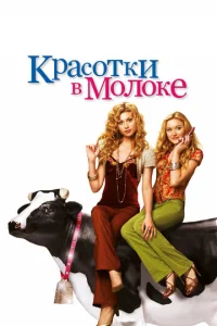  Красотки в молоке  1 сезон