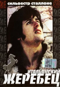  Итальянский жеребец  1 сезон