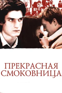  Прекрасная смоковница  1 сезон