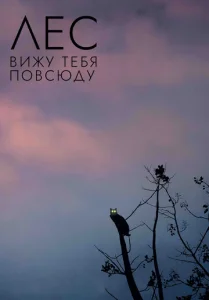  Лес: Вижу тебя повсюду  1 сезон
