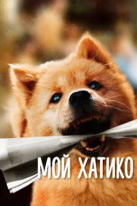  Мой Хатико  1 сезон