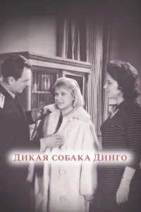  Дикая собака динго  1 сезон