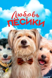  Любовь и пёсики  1 сезон