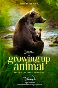Постер к сериалу  Взрослеющее животное  1-2 сезон