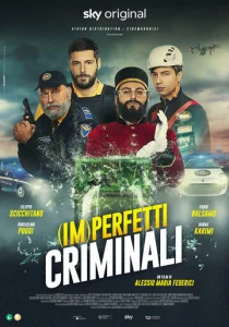  (Не)идеальные преступники  1 сезон