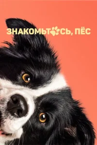  Знакомьтесь, пёс  1 сезон