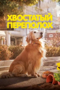  Хвостатый переполох  1 сезон