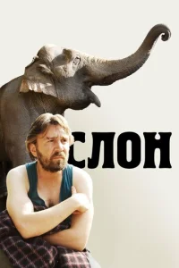  Слон  1 сезон