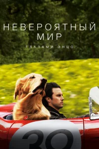  Невероятный мир глазами Энцо  1 сезон