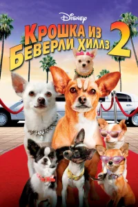  Крошка из Беверли-Хиллз 2  1 сезон