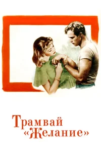  Трамвай «Желание»  1 сезон