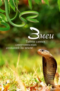  Змеи. Тайны самых смертоносных созданий на земле  1 сезон