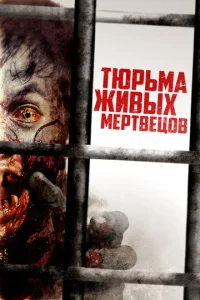  День 0  1 сезон