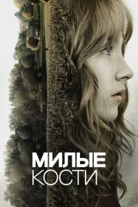  Милые кости  1 сезон