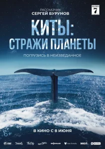  Киты: Стражи планеты  1 сезон