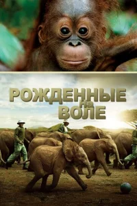  Рожденные на воле  1 сезон