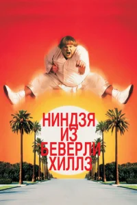  Ниндзя из Беверли Хиллз  1 сезон