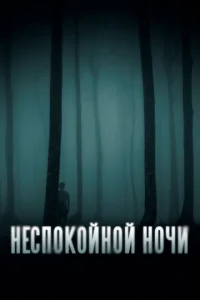  Неспокойной ночи  1 сезон