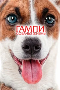  Гампи. Собачья жизнь  1 сезон